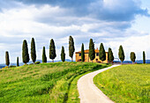 Tuscan farmhouse and cypress trees in Val d'Orcia, UNESCO, Tuscany, Italy