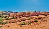 Petrified sand dunes, White Canyon State Park, Red Cliffs Desert Reserve near St. George, Utah, United States of America