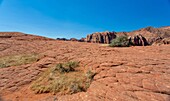 Versteinerte Sanddünen, White Canyon State Park, Red Cliffs Desert Reserve bei St. George, Utah, Vereinigte Staaten von Amerika