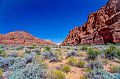 In der Nähe des Eingangs zum Jenny's Canyon, Snow Canyon State Park, bei St. George, Utah, Vereinigte Staaten von Amerika