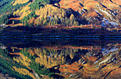 Reflection detail, Glenshiel, Highlands, Scotland, United Kingdom