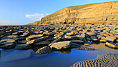 Limestone cliffs and beach, Dunraven Bay, Southerndown, Vale of Glamorgan, South Wales, United Kingdom