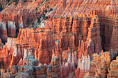 Warmes Licht umhüllt die majestätische Felsformation im Bryce Canyon National Park an einem Sommertag, Utah, Vereinigte Staaten von Amerika