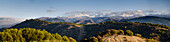 Evening panorama over olive trees in the hills of Albaicin, to the Sierra Nevada, Granada, Andalucia, Spain