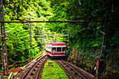 Red Tram cable car in lush green forest up the hill of Koyasan, Osaka, Honshu, Japan