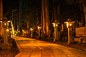 Steinlaternen im tiefen Wald von Koyasan bei Nacht, Buddhistischer Friedhof von Oku-no-in, Koyasan (Koya-san), Kansai, Honshu, Japan