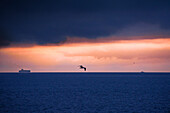 Blue hour sunrise on the Strait of Gibraltar crossing the ocean from Spain to Morocco, Gibraltar