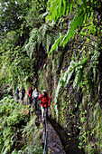 Hikers on path along levada (aqueduct) of Green Cauldron (Caldeirao Verde), Madeira island, Atlantic Ocean, Portugal