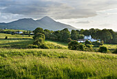 Landschaft um Wesport, mit dem Croagh Patrick im Hintergrund, Grafschaft Mayo, Connacht, Republik Irland