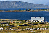 Landscape at the north of Lettermore island, west coast, Connemara, County Galway, Connacht, Republic of Ireland