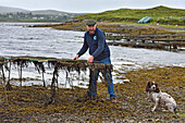 David Keanes, owner of Connemara Oyster Farm with oyster-bags, Ballinakill Bay, Letterfrack, Connemara, County Galway, Connacht, Republic of Ireland