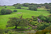 Ruins of the farmyard adjoining the Clifden Castle, ruined manor house near Clifden, Connemara, County Galway, Connacht, Republic of Ireland