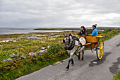 Horse-drawn carriage trip at Inishmore, largest of the Aran Islands, Galway Bay, County Galway, Connacht, Republic of Ireland