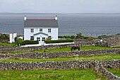 Haus und niedrige Steinmauer auf Inishmore, der größten der Aran-Inseln, Galway Bay, County Galway, Connacht, Republik Irland