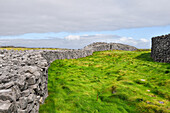 Wiese zwischen den Mauern von Dun Aengus, prähistorische Bergfestung, Inishmore, größte Aran-Insel, Galway Bay, County Galway, Connacht, Republik Irland