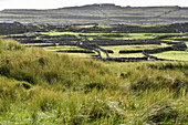 Grassy dunes of Cil Mhuirbhigh (Kilmurvey Village), Inishmore, largest of the Aran Islands, Galway Bay, County Galway, Connacht, Republic of Ireland