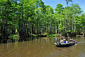 Motor boat trip on a cypress-lined backwater channel of Neches River, Beaumont, Texas, United States of America