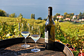 Wine tasting at Daley Estate in the Vineyard terraces of Lavaux on the bank of Lake Leman, around Lausanne, Canton of Vaud, Switzerland