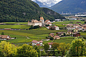 Vineyards surrounding the Aigle Castle, Canton of Vaud, Switzerland