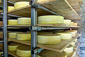 Small cheese factory in montane grassland, Canton Ticino, Switzerland