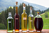 Fruit brandies (schnapps) display, Unterstein, Farm Holidays, Villabassa /Niederdorf, Puster Valley, South Tyrol (Alto Adige), Italy