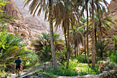 Wadi Shab, canyon near Tiwi, Sultanate of Oman, Arabian Peninsula