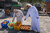 Man selling Pomegranates (fruit) on the edge of the road, Sultanate of Oman, Arabian Peninsula