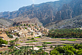 Bilad Sayt village, edge of Wadi Bani Awf, north east slope of Jebel Akhdar, Western Hajar Mountains, Al-Dakhiliyah region, Oman, Arabian Peninsula