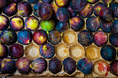 Figs, Paris, France