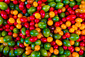 Cherry tomatoes, Paris, France