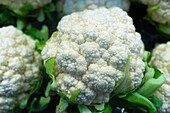 Cauliflower, Paris, France