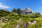 Traditional thatched house, Rantum, Sylt, Schleswig Holstein, Germany, Europe