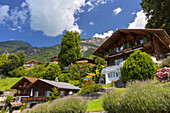 Traditional chalets on hillside, Brienz, Bernese Oberland, Switzerland