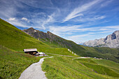 First mountain, Grindelwald, Jungfrau Region, Bernese Oberland, Switzerland