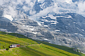 Zug auf der Jungfraubahn, Kleine Scheidigg, Jungfrau Region, Berner Oberland, Schweiz