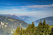 Blick auf den Thunersee von der Schynige Platte, Berner Oberland, Schweiz