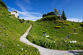 Botanical Garden, Schynige Platte, Jungfrau Region, Bernese Oberland, Switzerland