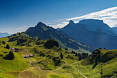 Wanderweg auf der Schynige Platte, Jungfrau Region, Berner Oberland, Schweiz