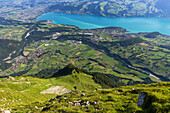 Blick auf Thun und den Thunersee vom Niesen aus, Kanton Bern, Schweiz