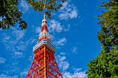 Blick auf den Tokio-Turm von seiner Basis aus gegen den blauen Himmel, Shibakoen, Minato City, Tokio, Honshu, Japan