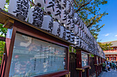 Blick auf die Laternen in der Nakamise-dori-Straße, die zum Senso-ji-Tempel führt, Asakusa, Taito City, Tokio, Honshu, Japan