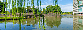 View of reflections in Wadakura Moat on a sunny day, Chiyoda, Tokyo, Honshu, Japan