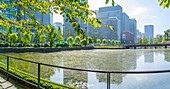 View of reflections in Wadakura Moat on a sunny day, Chiyoda, Tokyo, Honshu, Japan