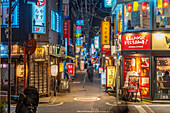 View of neon lights in narrow city street near Tokyo Tower at night, Minato City, Tokyo, Honshu, Japan