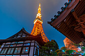 Blick auf den Tokio-Turm und den buddhistischen Rurikoji-Tempel bei Nacht, Minato City, Tokio, Honshu, Japan