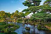 View of Japanese stone lantern in Kenrokumachi Japanese Garden, Kanazawa City, Ishikawa Prefecture, Honshu, Japan