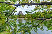 Ansicht der Burg Hiroshima mit Museum, Spiegelung im Wassergraben, Motomachi, Naka Ward, Hiroshima, Honshu, Japan