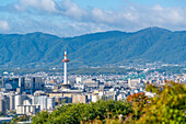 Blick auf Kyoto und den Nidec Kyoto Tower vom Kiyomizu-dera-Tempel, Kiyomizu, Higashiyama Ward, Kyoto, Honshu, Japan