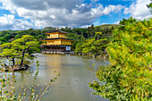 View of Golden Temple (Kinkaku-ji) (Temple of the Golden Pavilion), UNESCO, Kyoto, Honshu, Japan