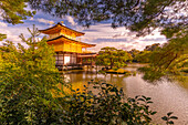 Ansicht des Goldenen Tempels (Kinkaku-ji) (Tempel des Goldenen Pavillons), UNESCO, Kyoto, Honshu, Japan